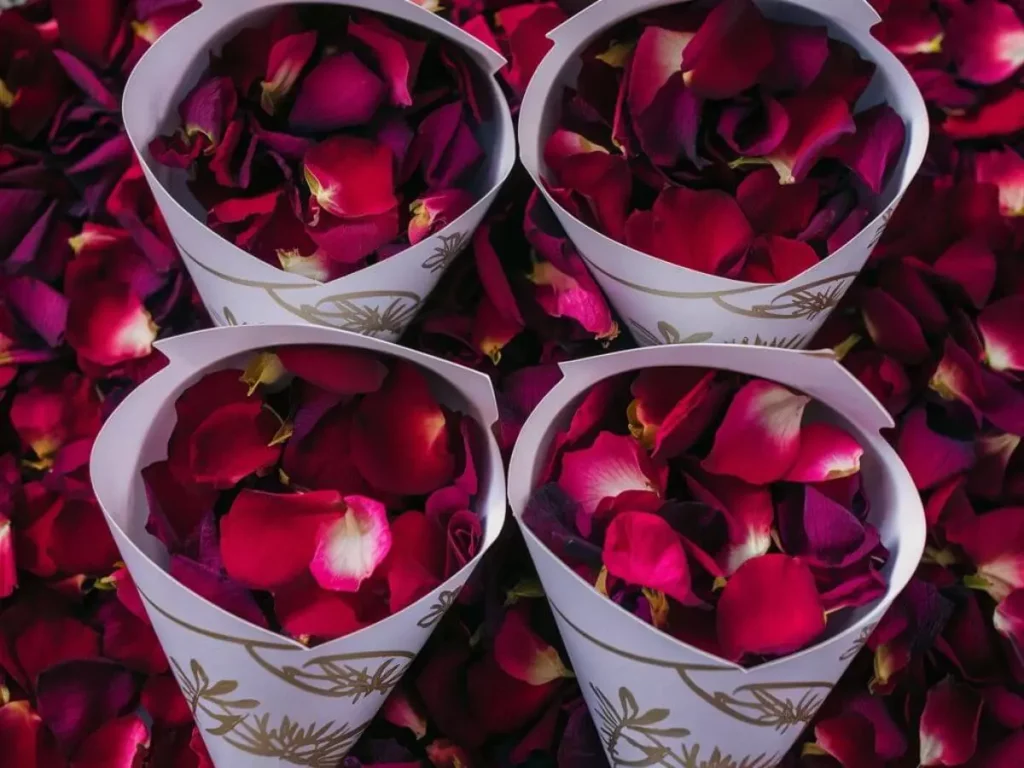 Biodegradable Rose Petals Confetti