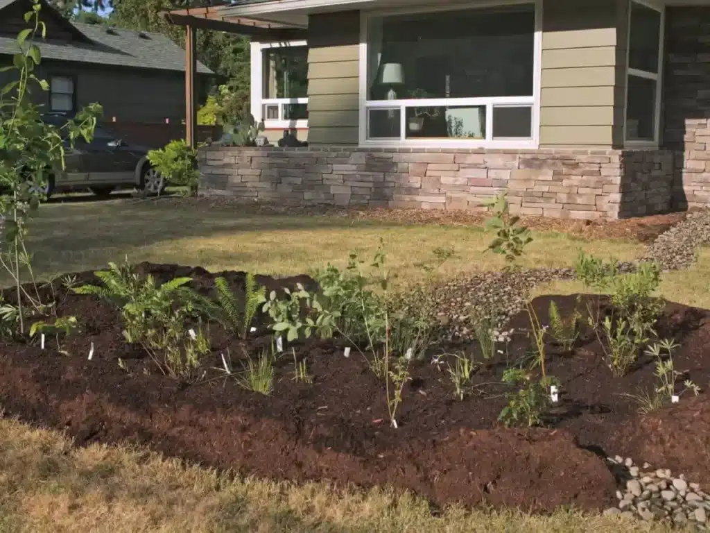 Rain Garden