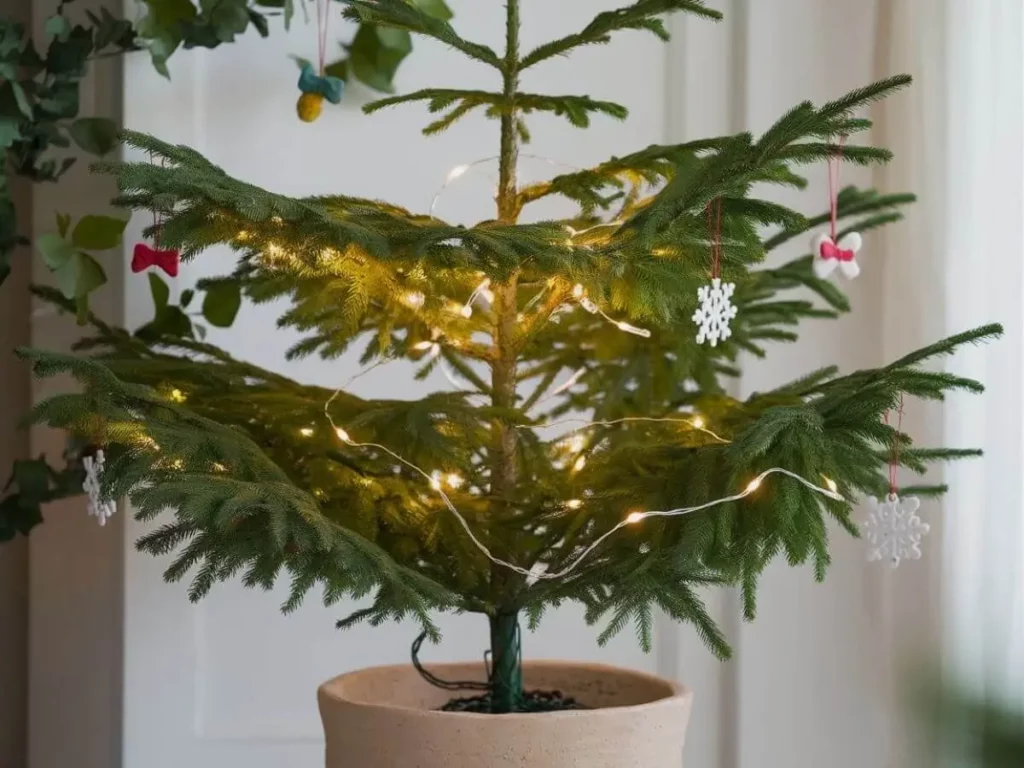 Potted Christmas Tree