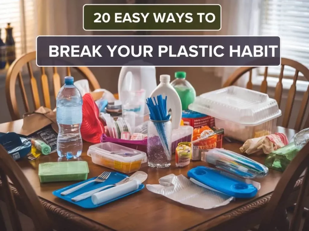 Easy Ways to Break Your Plastic Habit