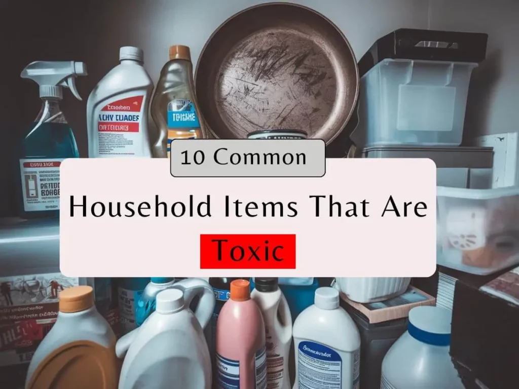 Household Items That Are Toxic